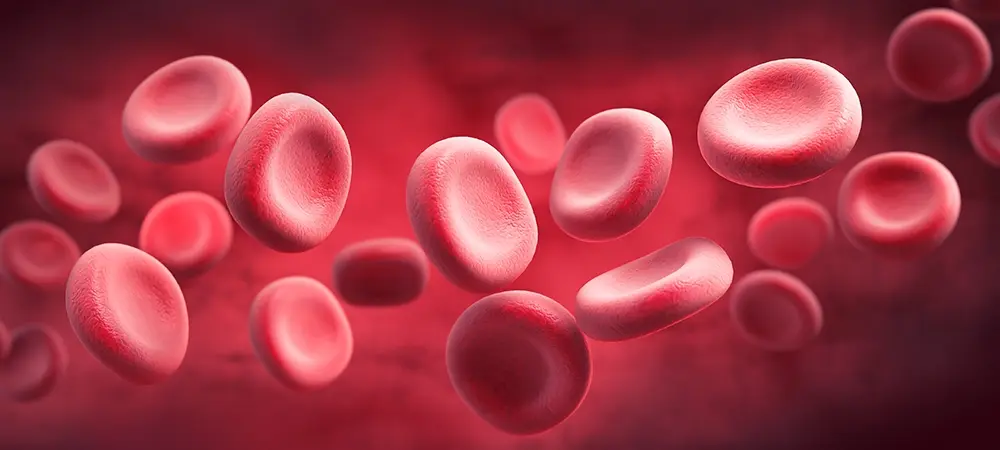 hematolog nedir